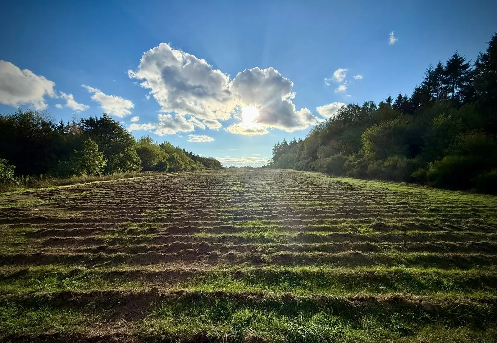 The runway seen end on, with regular parallel grooves cut into the turf across its full width