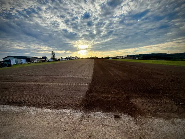 The prepared bare-earth runway looking straight towards the hangars and village at sunset